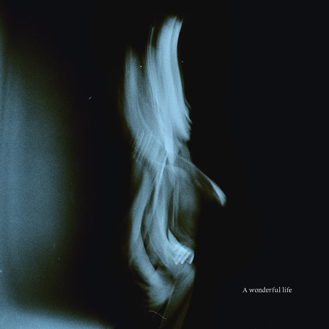 A Wonderful Life [LP]