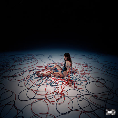 Not Normal cover art