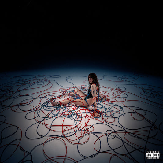 Not Normal cover art
