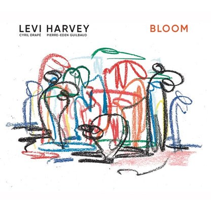 Levi Harvey Trio - Bloom [CD] — cover artwork
