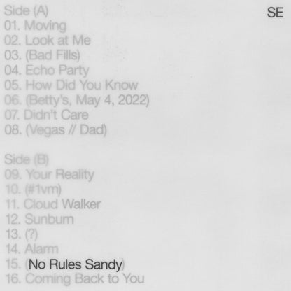 Sylvan Esso - No Rules Sandy [Vinyl] — cover artwork