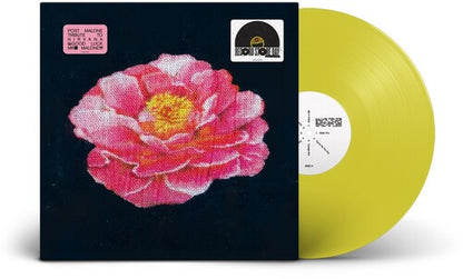 Post Malone — Tribute to Nirvana [Yellow LP] — album artwork