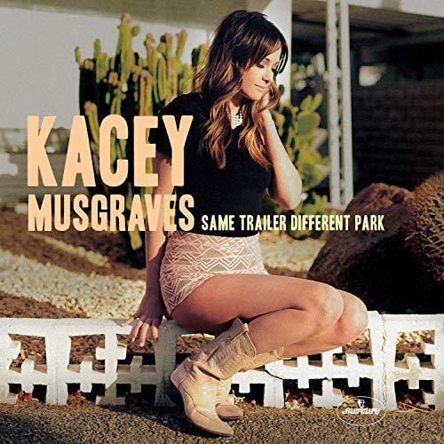 Same Trailer Different Park [Vinyl]