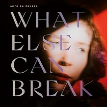 What Else Can Break [LP Import]
