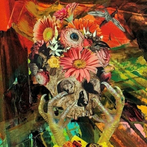 Destroying The Night Sky [LP] (import)