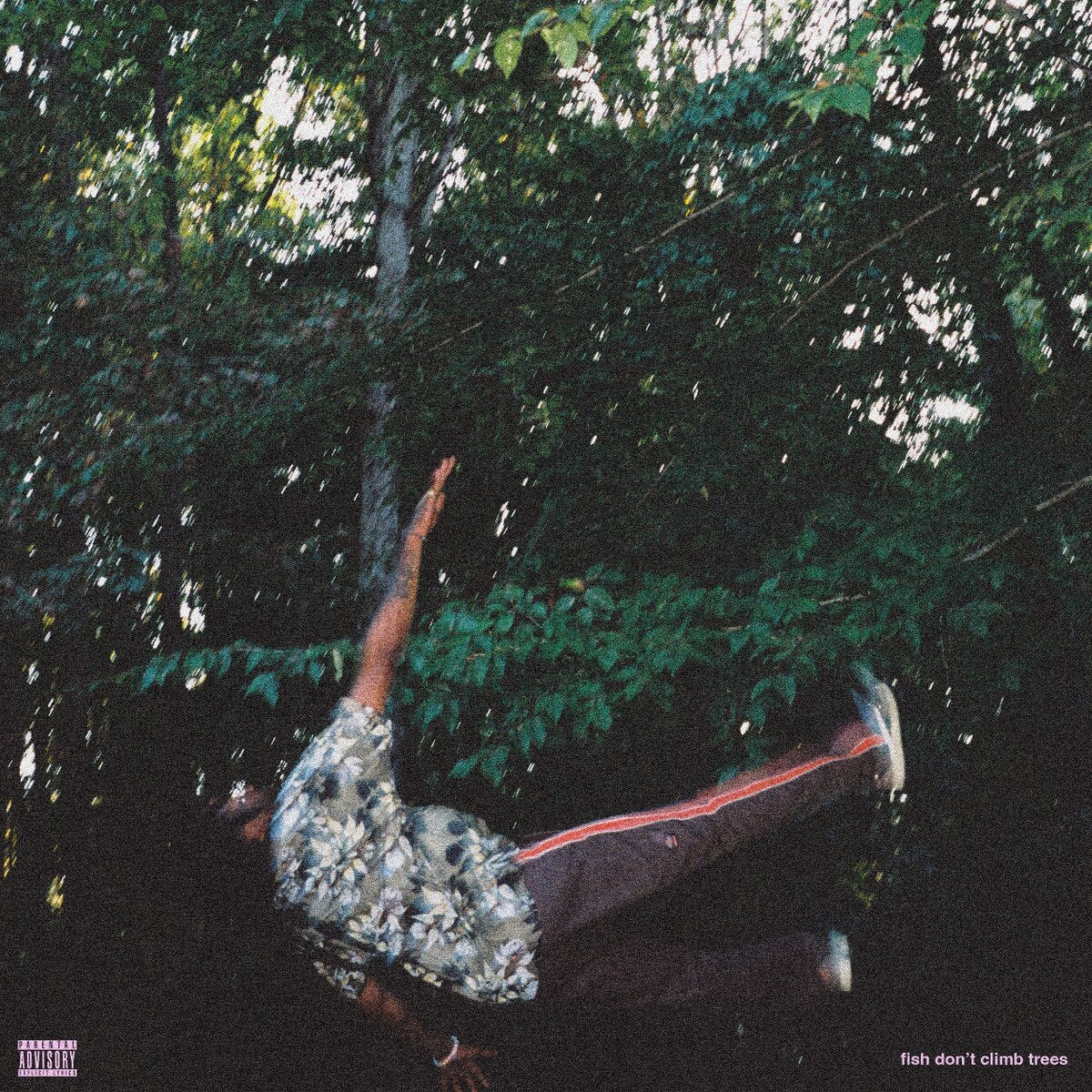 fish don't climb trees [LP Cream Vinyl]