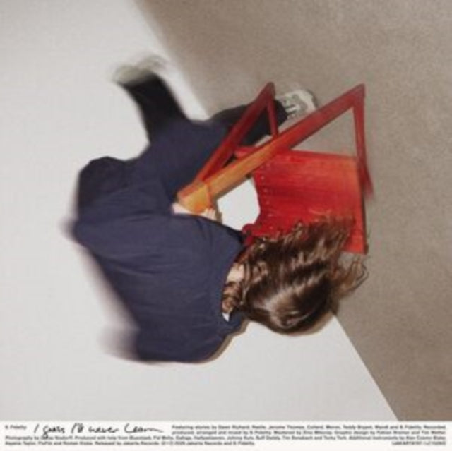 Guess I'll Never Learn [LP]