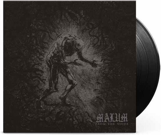 From The Voids [7"] (Import)