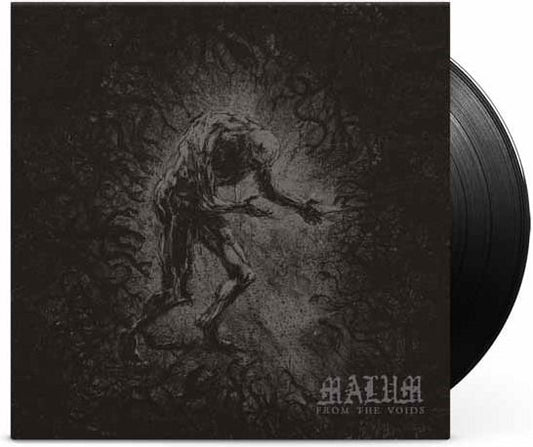 From The Voids [7"] (Import)