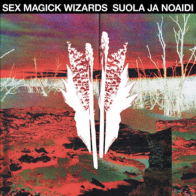Sex Magick Wizards - Suola Ja Noaidi album cover