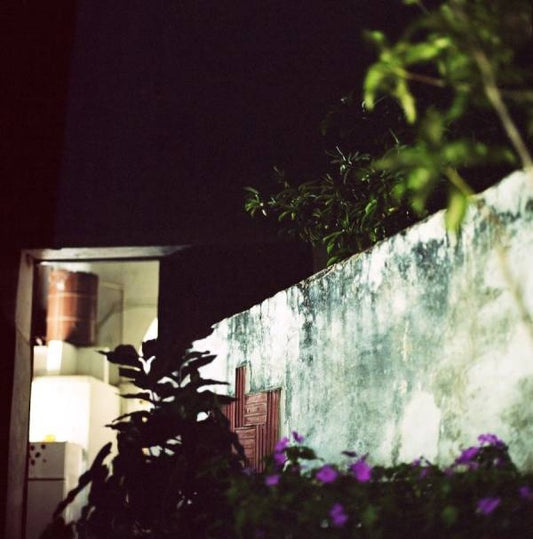 House Of The Singing Blossoms [2LP] (180 Gram, foil-numbered/Edition of 1000)