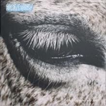 This Is Why We Lost [Vinyl]