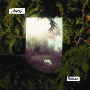 Preloved - Willow [Vinyl LP]