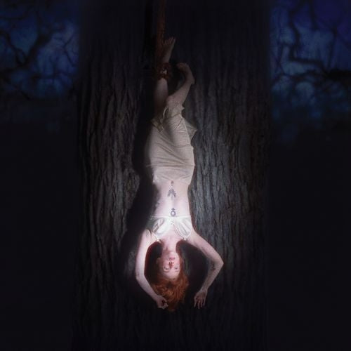 Fawn's Enemy [CD]