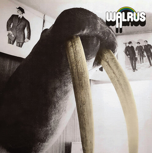 Walrus [CD]