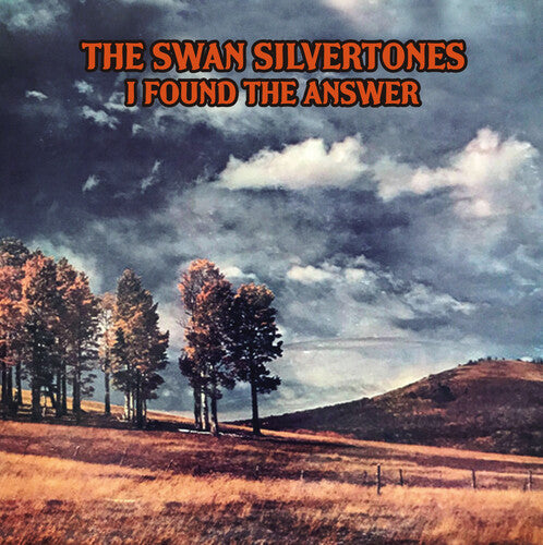 I Found The Answer [CD]