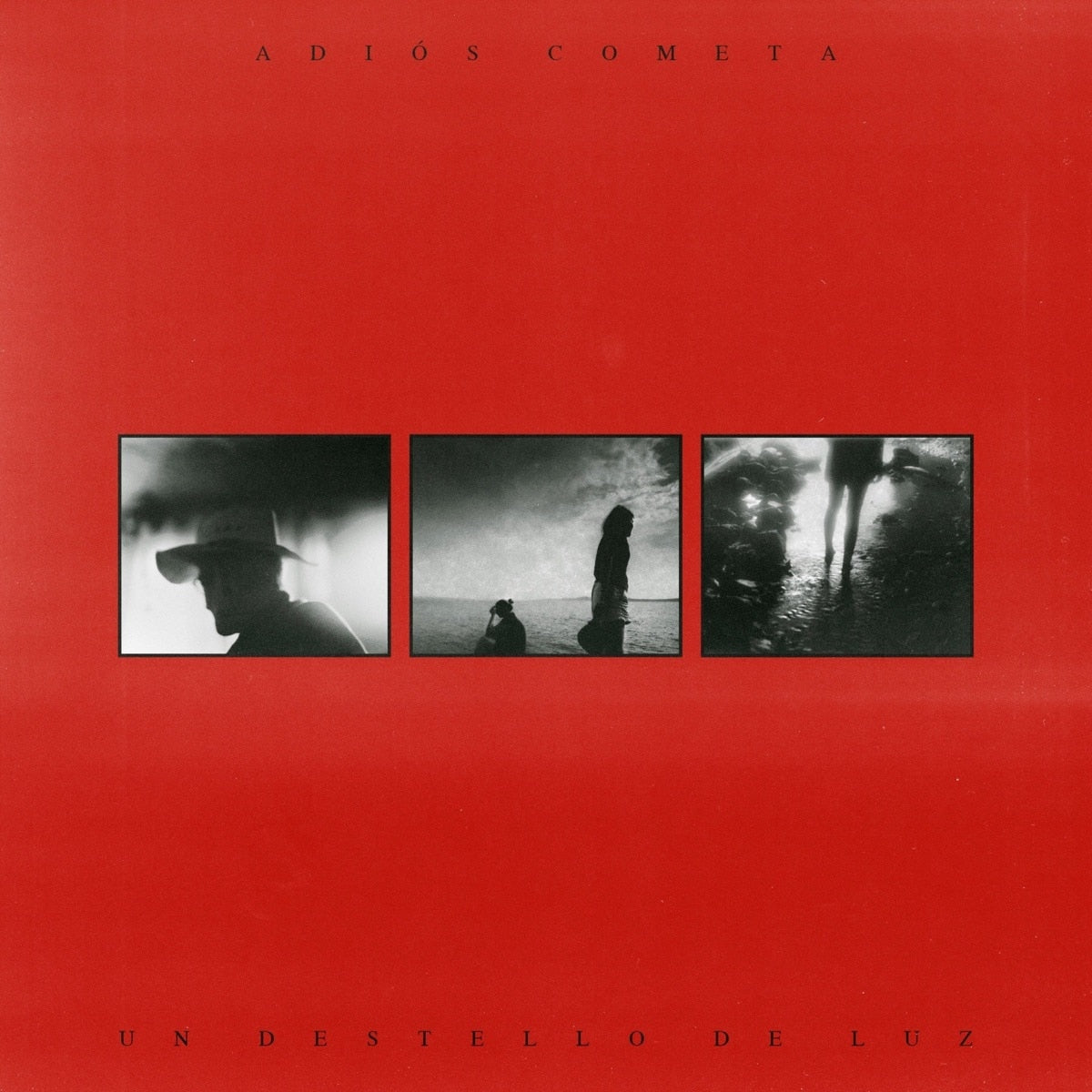 Un Destello De Luz [LP]