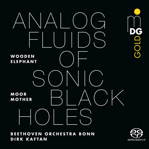 Analog Fluids Of Sonic Black Holes [LP]