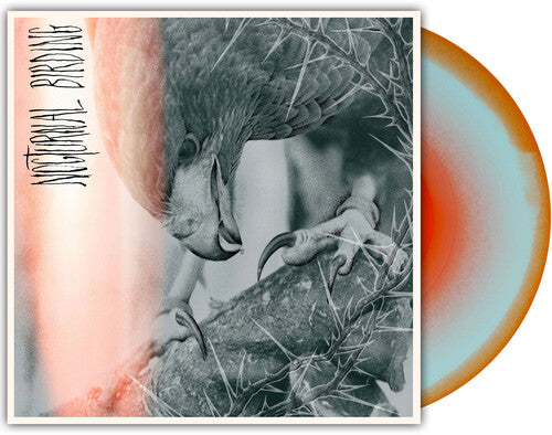 Nocturnal Birding [LP] (Custom Merge Colored Vinyl)