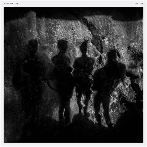 Section [Limited Edition White LP]