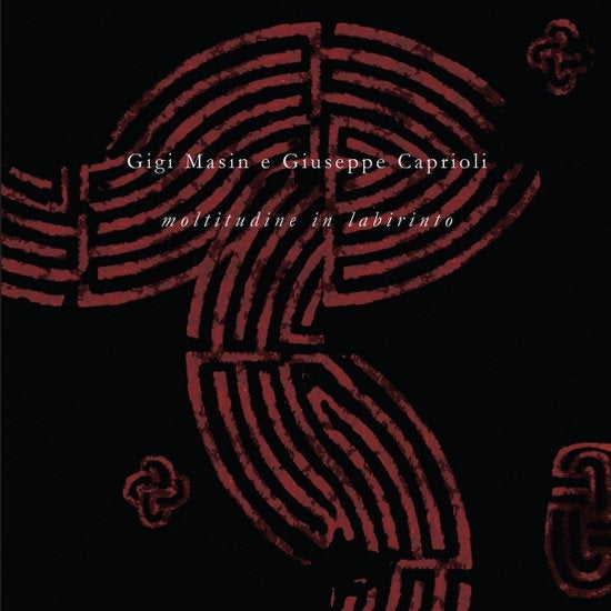 Moltitudine In Labirinto [LP]