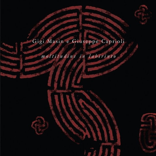 Moltitudine In Labirinto [LP]
