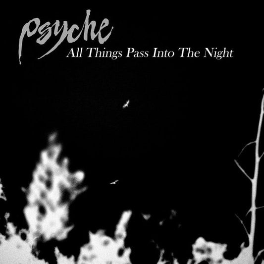 All Things Pass Into the Night [LP]