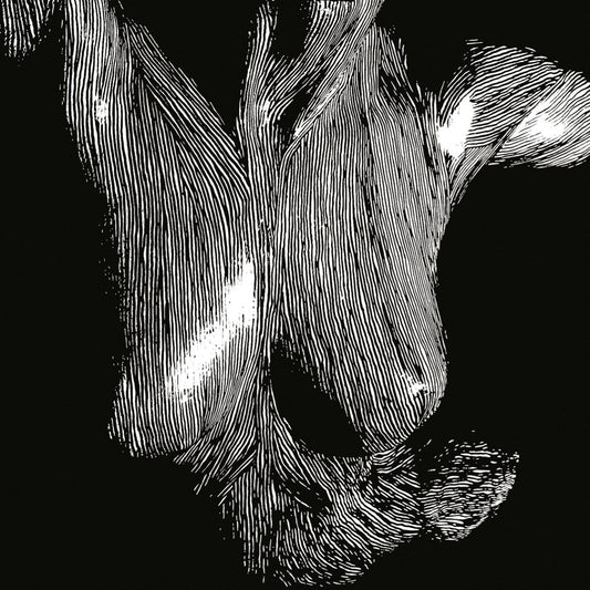 Self Preserved While The Bodies Float Up [2CD]