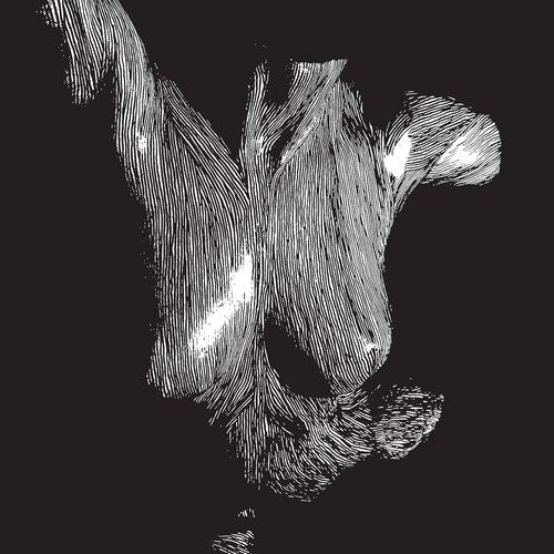 Self Preserved While The Bodies Float Up [3LP] (15th Anniversary Edition)