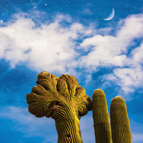 Radici (Limited Edition Cactus Green Vinyl)