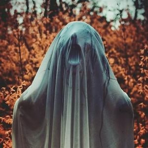 Noctambulist I- Elegieen [Transparent Vinyl]