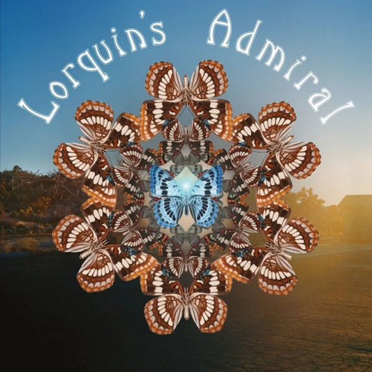 Lorquins Admiral [LP] (Import)