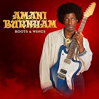 Amani Burnham — Roots & Wings [CD] — album artwork
