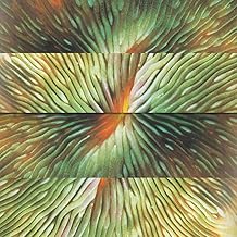 Mirroring [Vinyl]