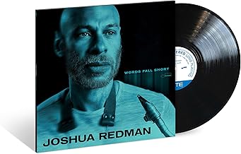 Words Fall Short [LP 180 Gram]