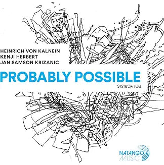 Heinrich Von Kalnein - Probably Possible [LP] product image