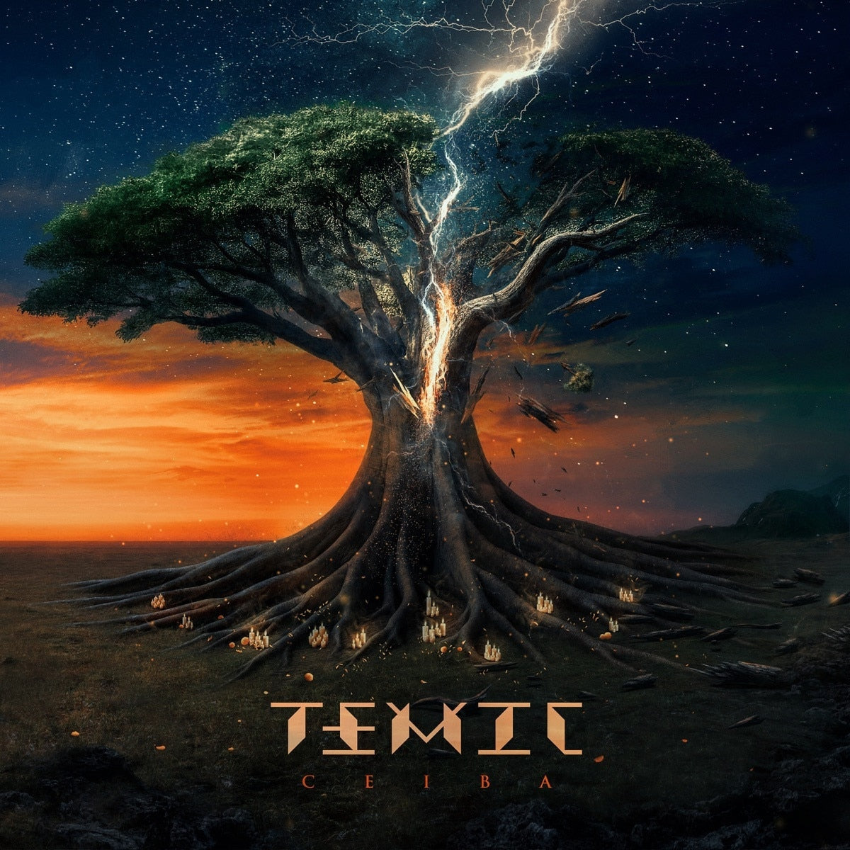Ceiba [2LP]
