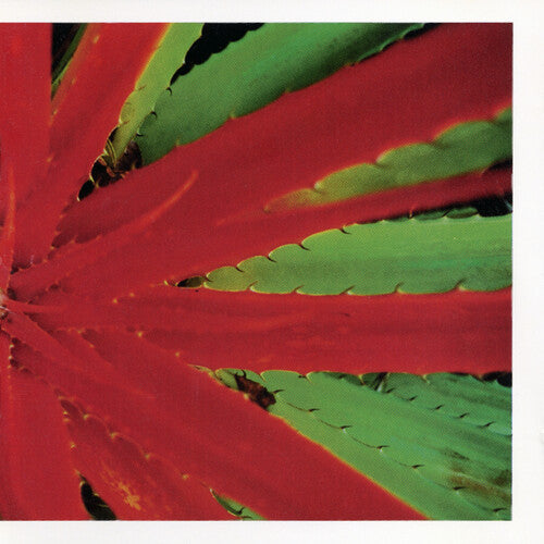 This Afternoons Malady [2LP]