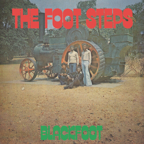The Foot Steps [LP]