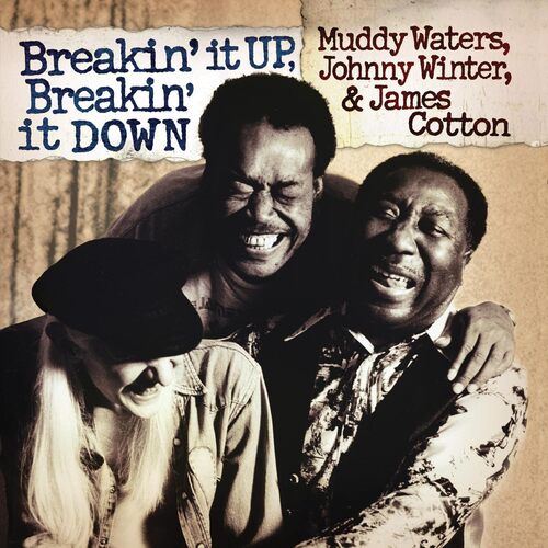 Breakin' It Up Breakin' It Down [2LP, Translucent Gold 180 Gram Audiophile Vinyl]
