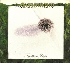 Nighttime Birds [LP] (import)