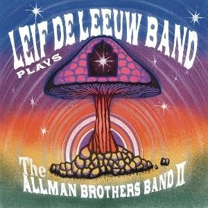 Plays The Allman Brothers Band II [Vinyl]