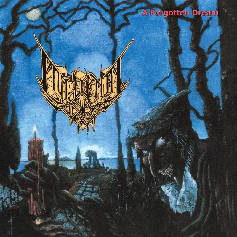 A Forgotten Dream [LP]