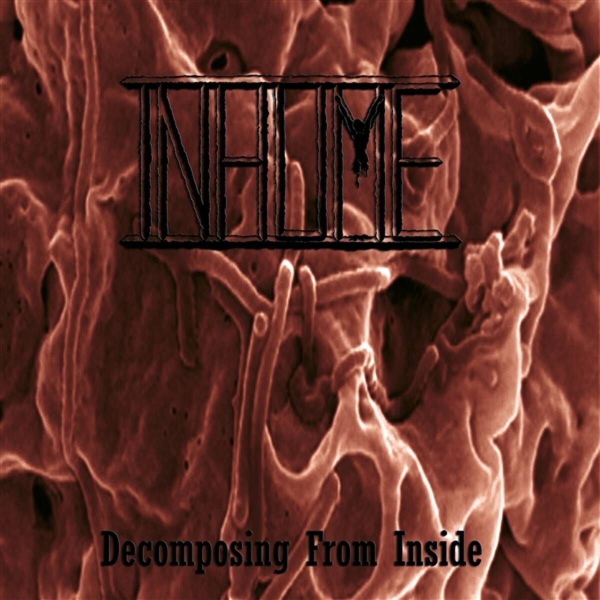 Decomposing From Inside [LP] (Olive Green Bone Vinyl)
