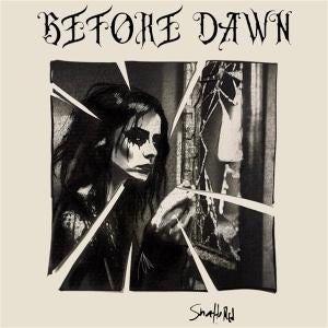 Shattered [12" Vinyl] (import)