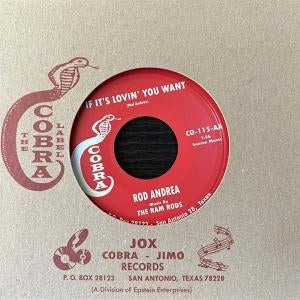 I Couldn't Leave [7"] (Import)