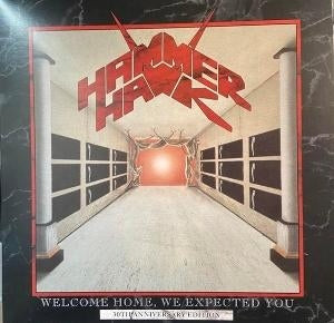 We Expected You [LP] (Import)