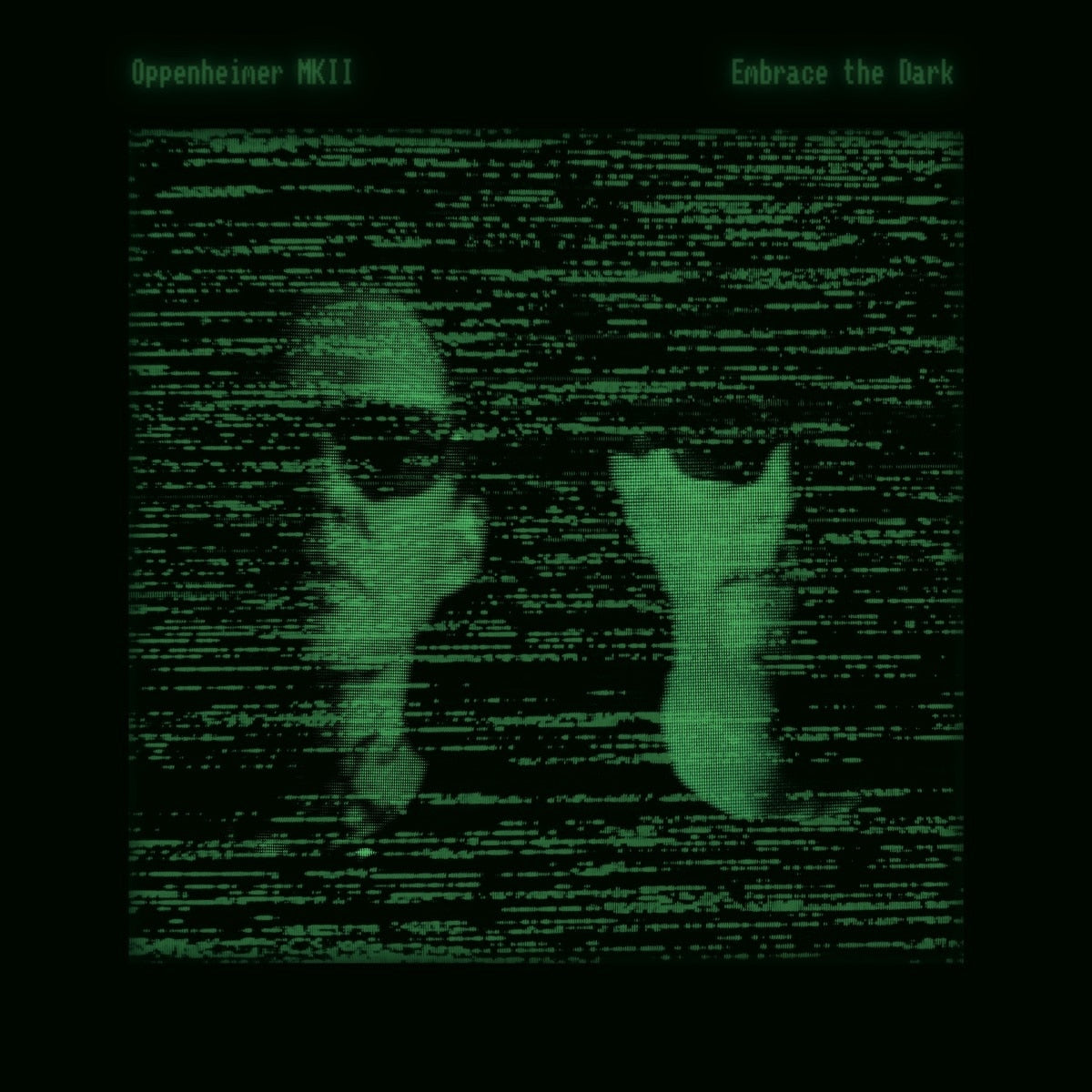 Embrace The Dark [LP]