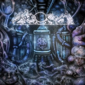 Decrepitizing Din Of The Cerebral Psyopticon [LP]