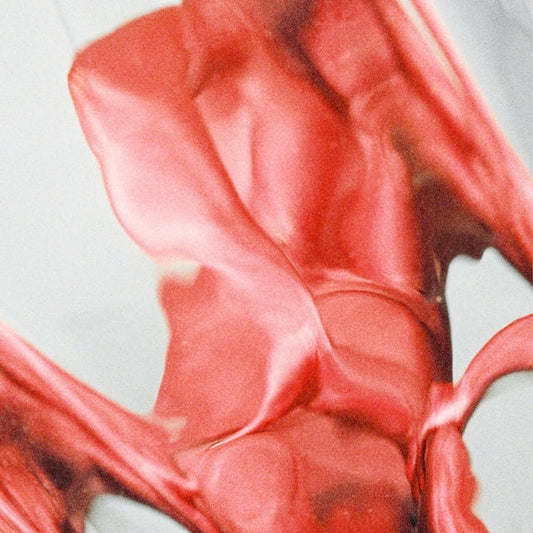 Tramhaus - Blister [LP Import]